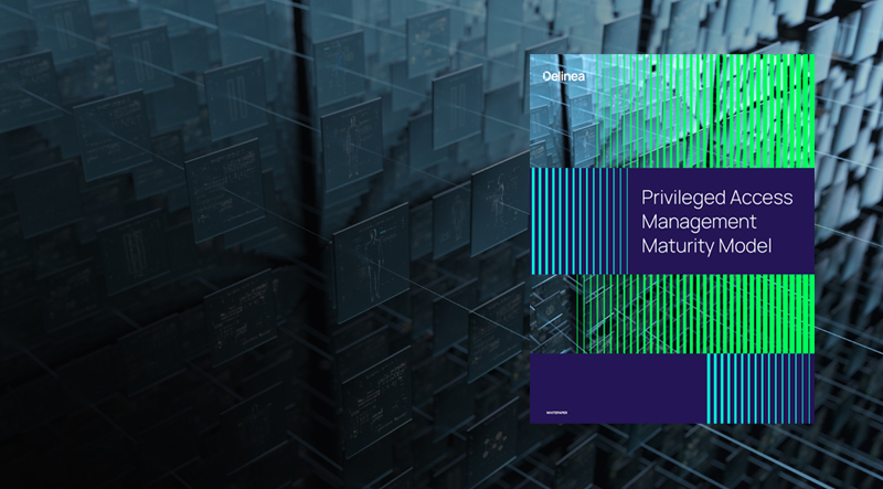 delinea-image-maturity-whitepaper delinea-image-maturity-whitepaper