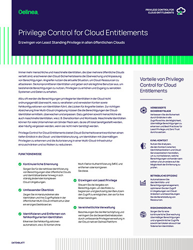 Privilege Control for Cloud Entitlements
